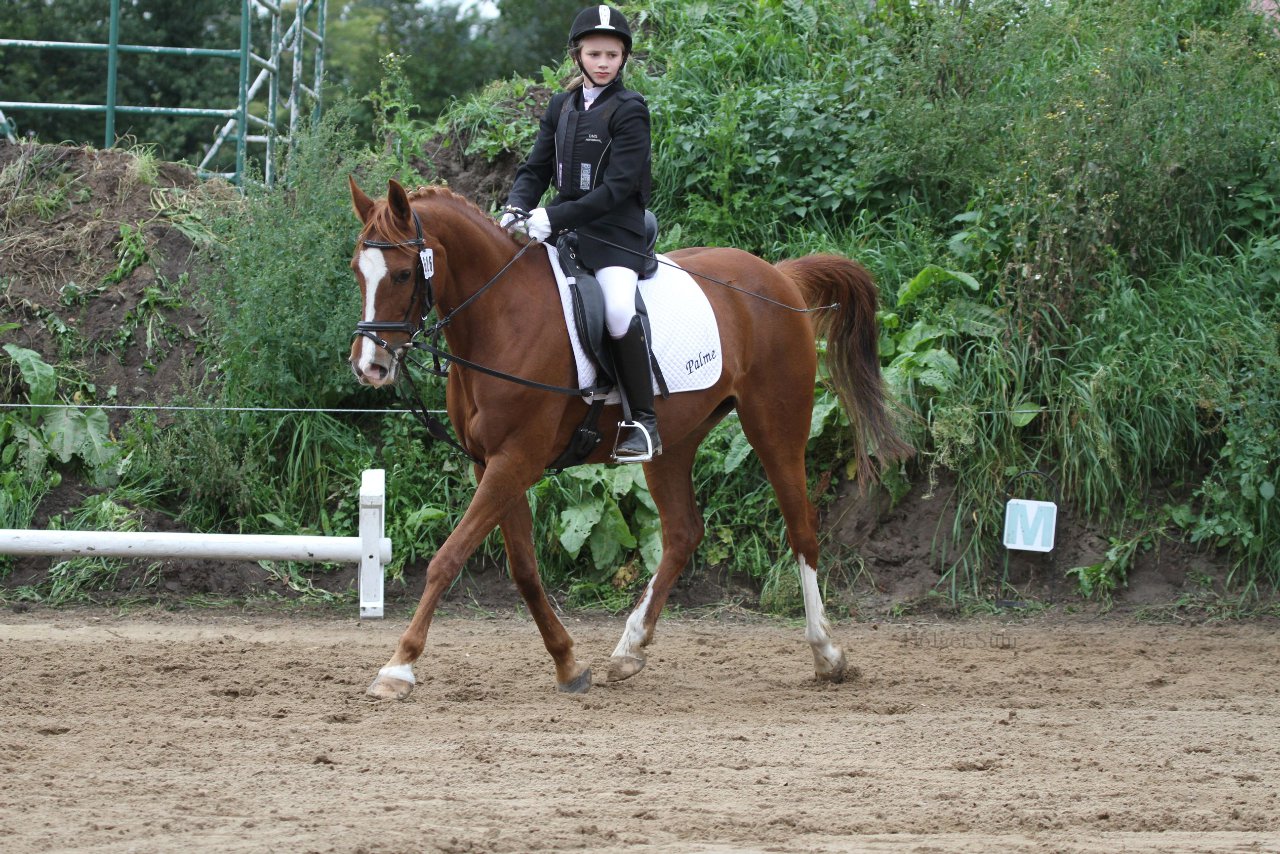 Bild 982 - WBO-Turnier am 18.9.11